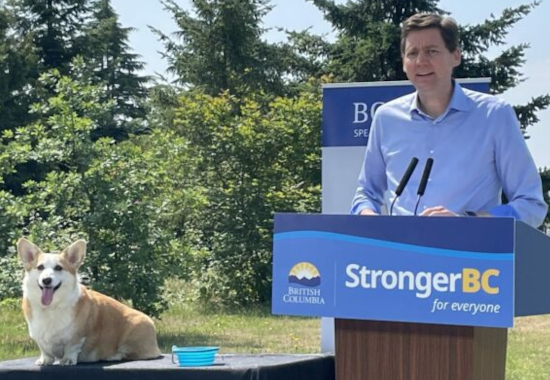 Kerry-Lynne Findlay as seen by BC NDP-friendly media